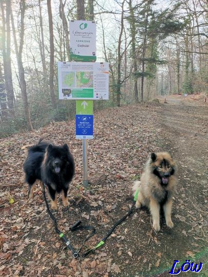 16.2.2023 - Kernzone Gießhübl erreicht